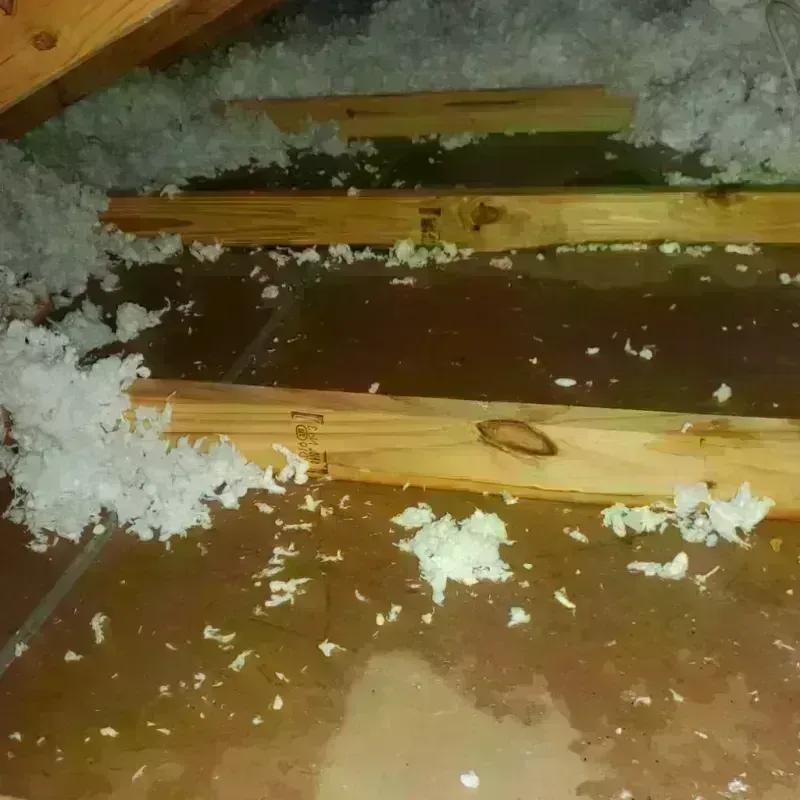 Attic Water Damage in De Soto, KS